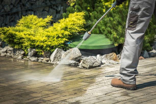 Best Roof Cleaning and Mildew Removal in Lake Kiowa, TX