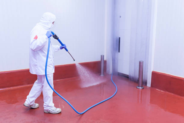 Best Graffiti Removal Services in Lake Kiowa, TX